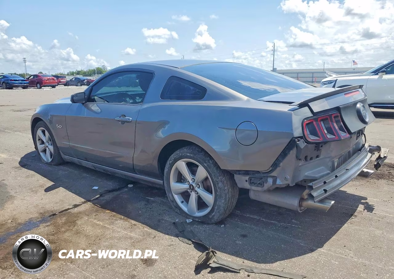 2014 Ford Mustang Gt VIN:1ZVBP8CF9E5267809 - 2