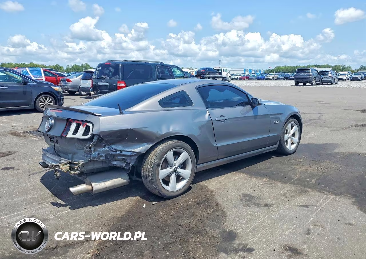 2014 Ford Mustang Gt VIN:1ZVBP8CF9E5267809 - 3