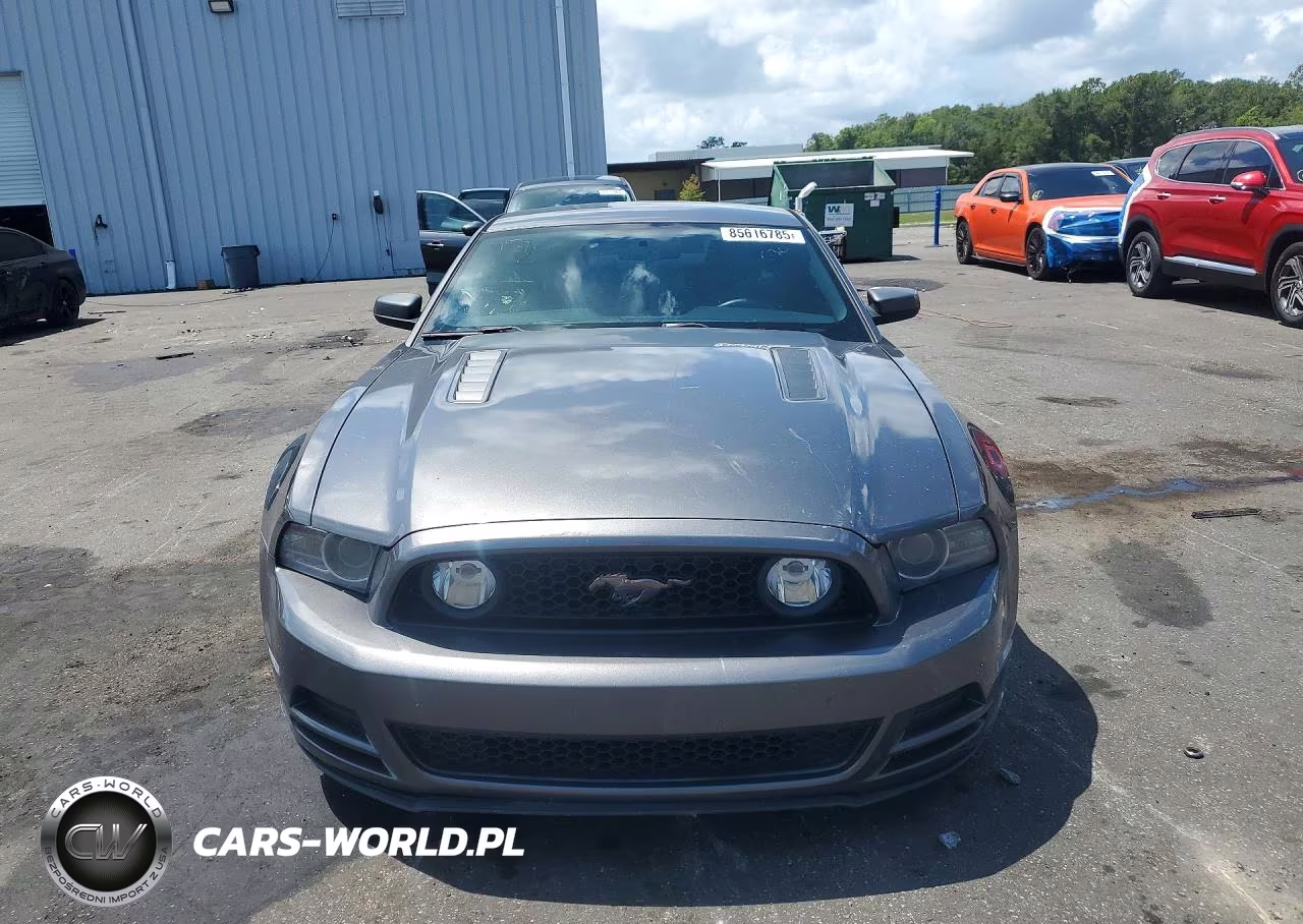 2014 Ford Mustang Gt VIN:1ZVBP8CF9E5267809 - 5