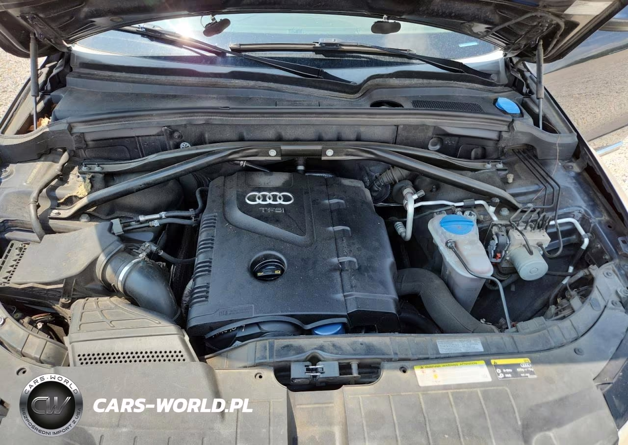 2013 Audi Q5 Premium Plus VIN:WA1LFAFP9DA060505 - 12