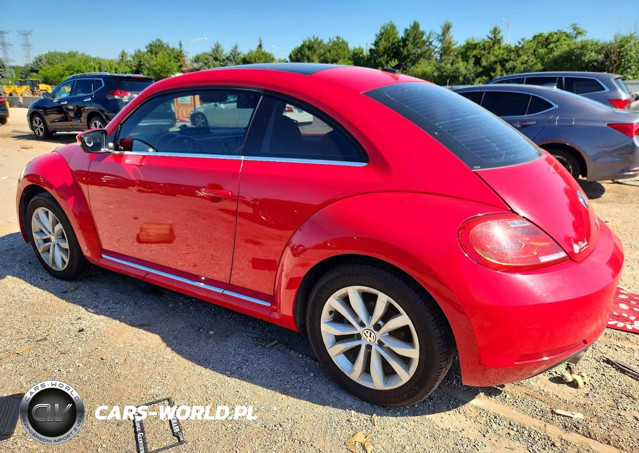 2013 Volkswagen Beetle VIN:3VWJL7AT7DM675339 - 2
