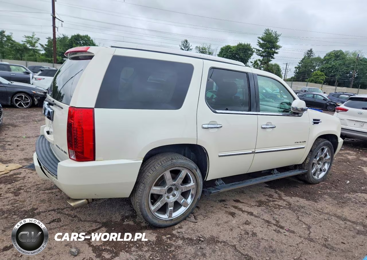 2014 Cadillac Escalade Luxury VIN:1GYS4BEFXER216313 - 3