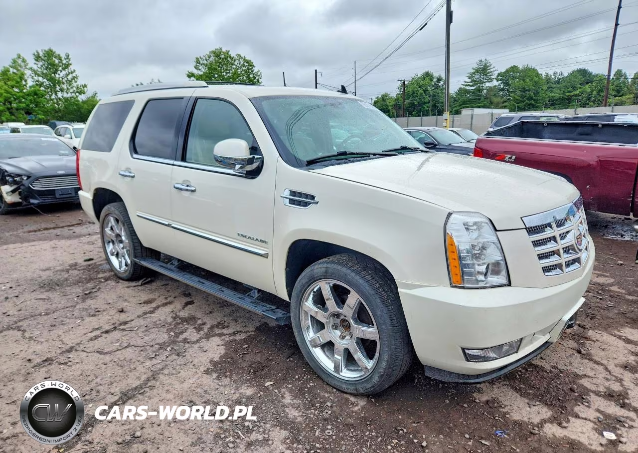 2014 Cadillac Escalade Luxury VIN:1GYS4BEFXER216313 - 4