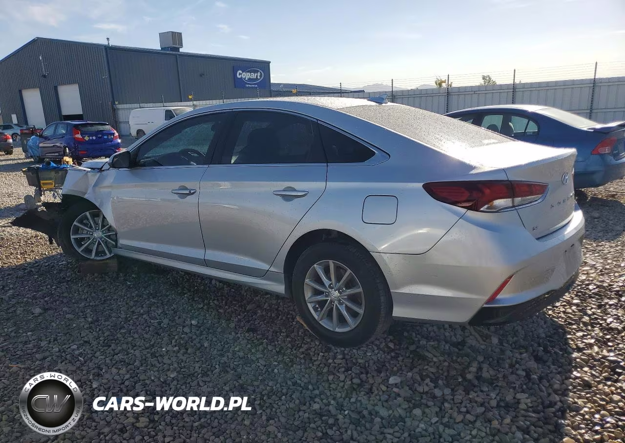 2019 Hyundai Sonata Se VIN:5NPE24AF0KH800605 - 2