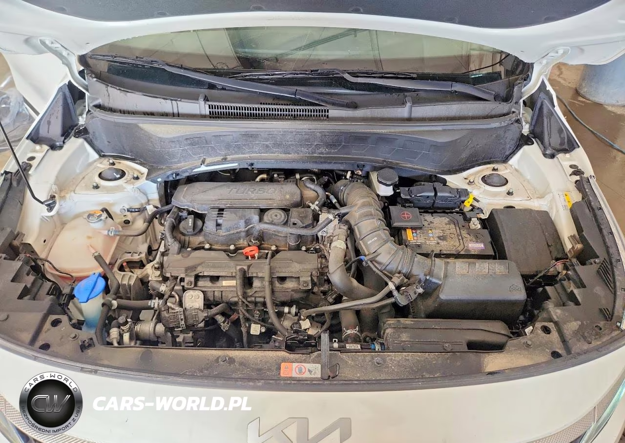 2024 Kia Seltos Sx VIN:KNDETCA78R7505976 - 12