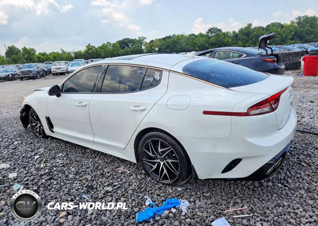 2022 Kia Stinger Gt Line VIN:KNAE35LD1N6114101 - 2