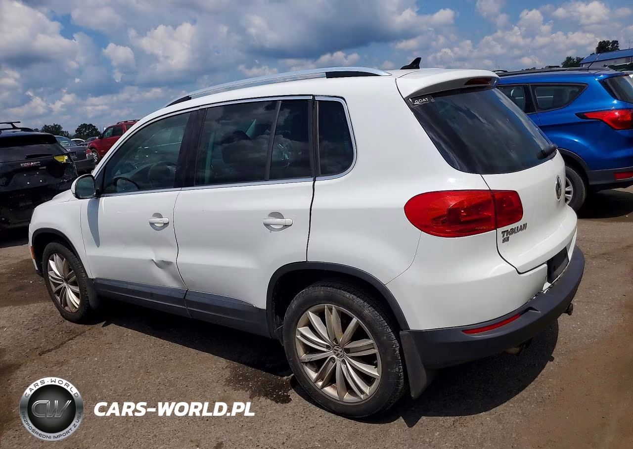 2016 Volkswagen Tiguan S VIN:WVGAV7AX7GW564189 - 2