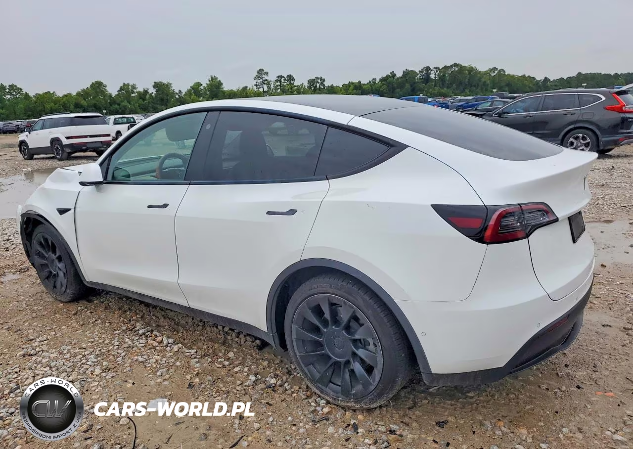 2022 Tesla Model Y VIN:7SAYGDEEXNF387355 - 2