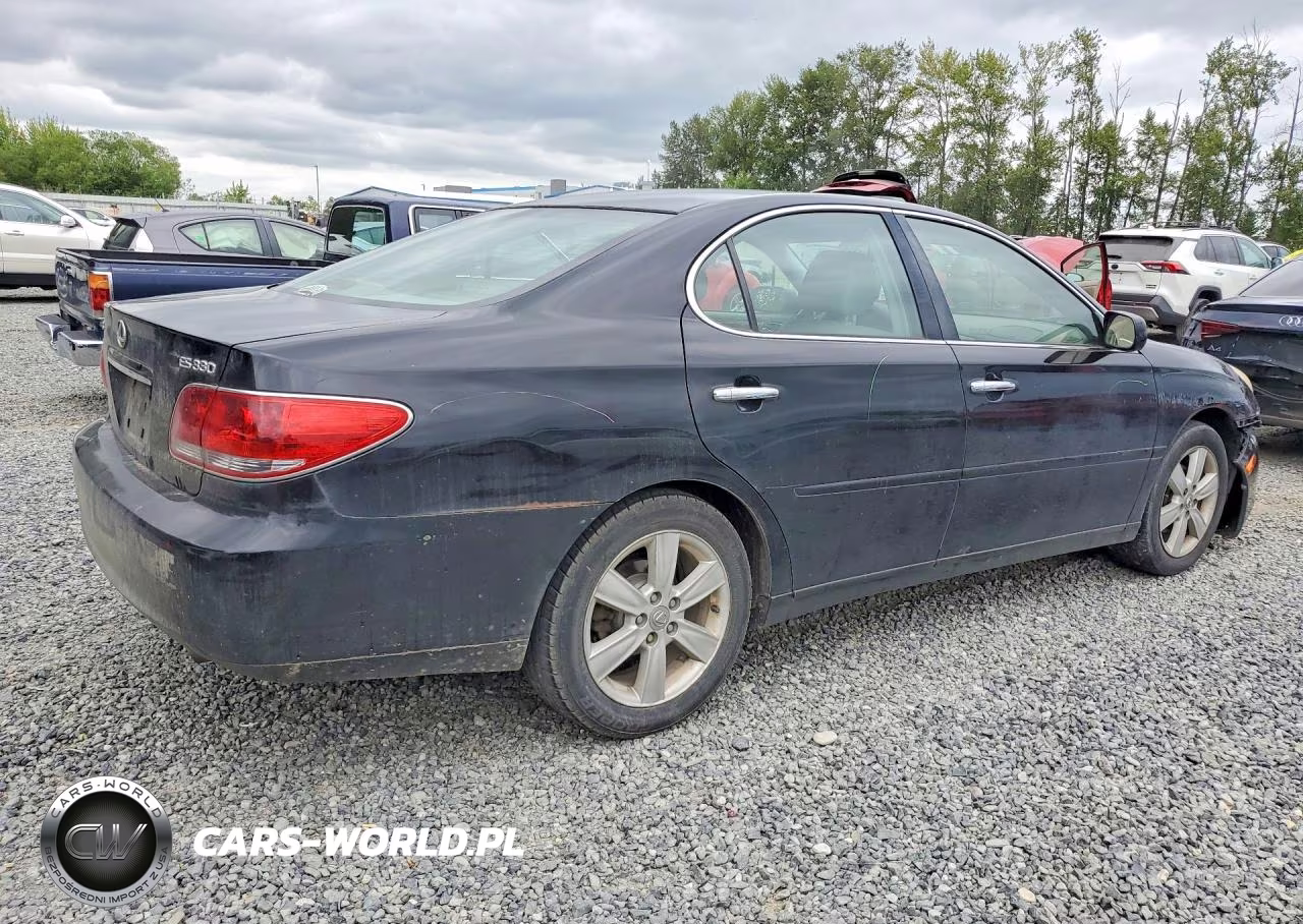2005 Lexus Es 330 VIN:JTHBA30G150024043 - 3