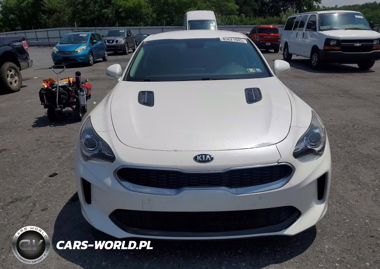 2018 Kia Stinger Base VIN:KNAE15LA3J6035910 - 5