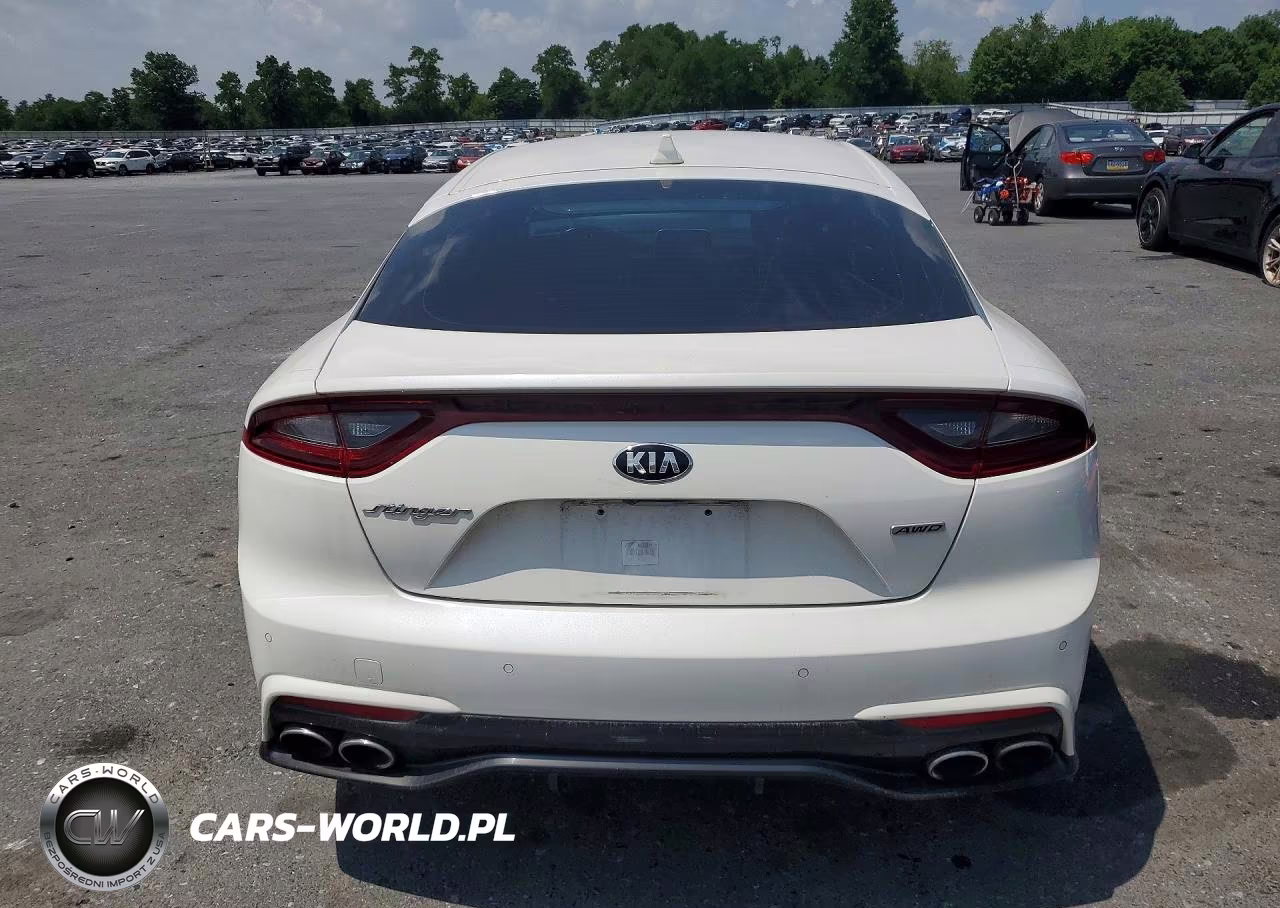 2018 Kia Stinger Base VIN:KNAE15LA3J6035910 - 6