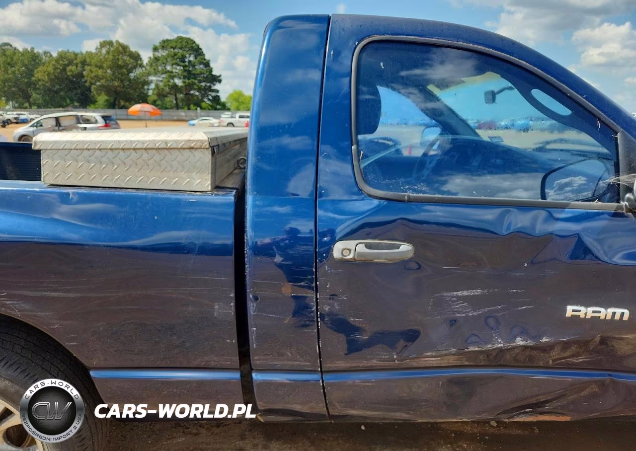 2002 Dodge Ram 1500 VIN:1D7HA16KX2J219114 - 10