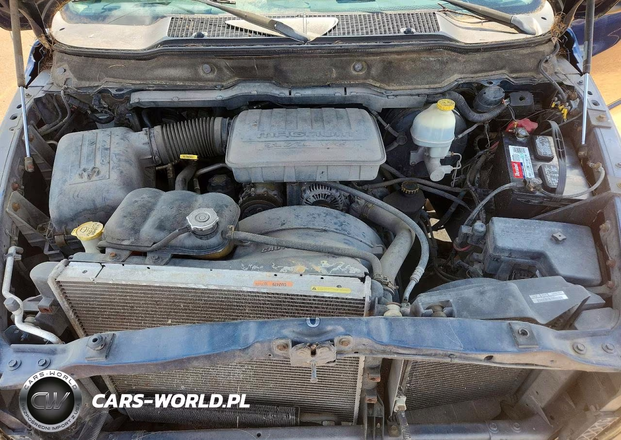 2002 Dodge Ram 1500 VIN:1D7HA16KX2J219114 - 11