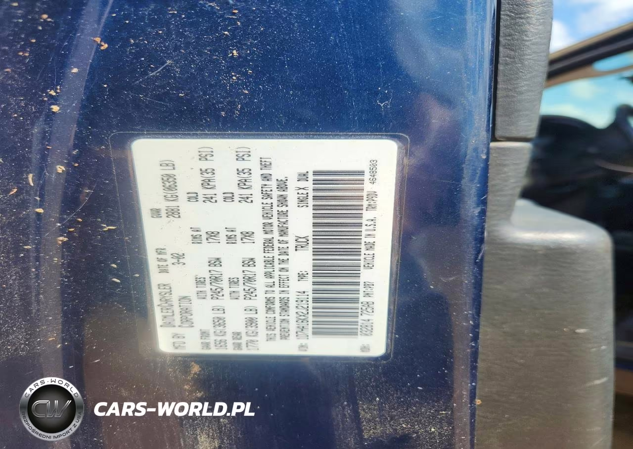 2002 Dodge Ram 1500 VIN:1D7HA16KX2J219114 - 12