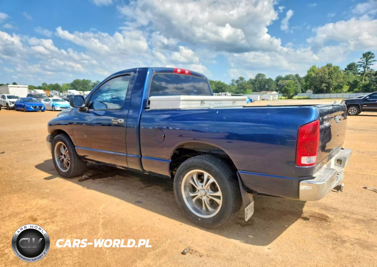 2002 Dodge Ram 1500 VIN:1D7HA16KX2J219114 - 2