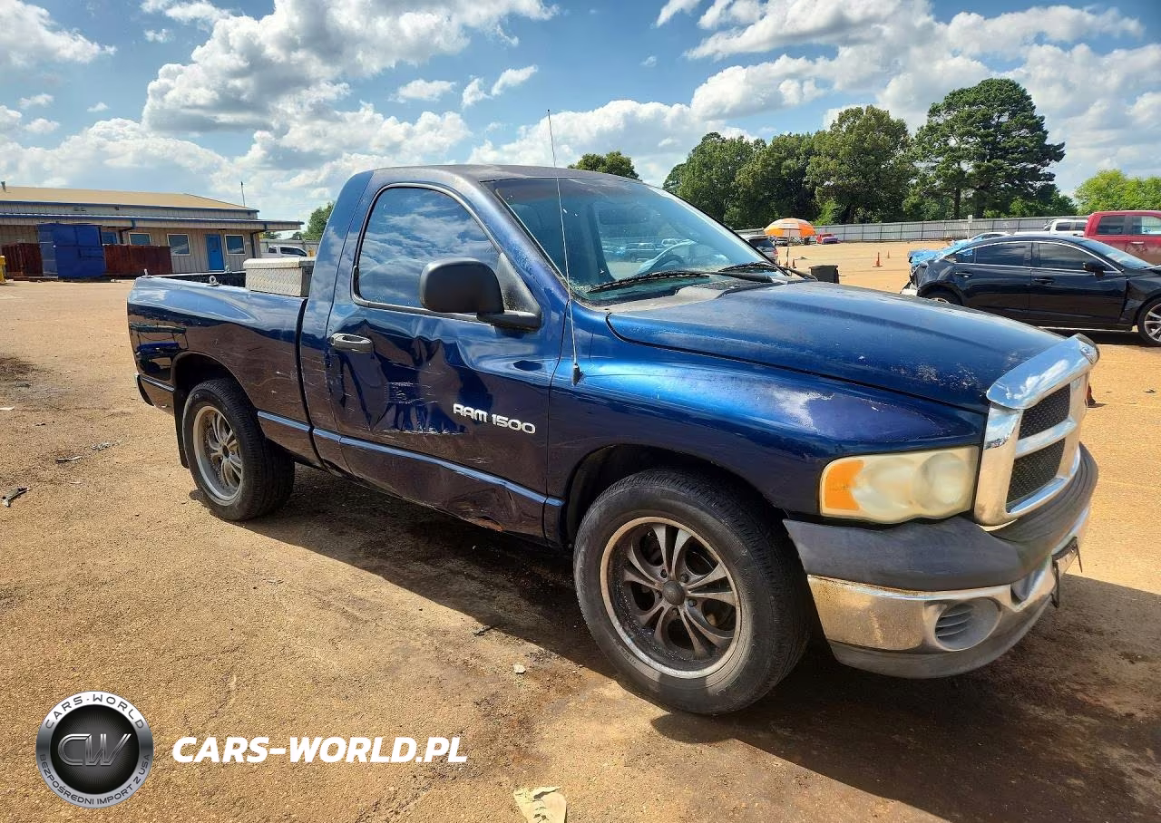 2002 Dodge Ram 1500 VIN:1D7HA16KX2J219114 - 4