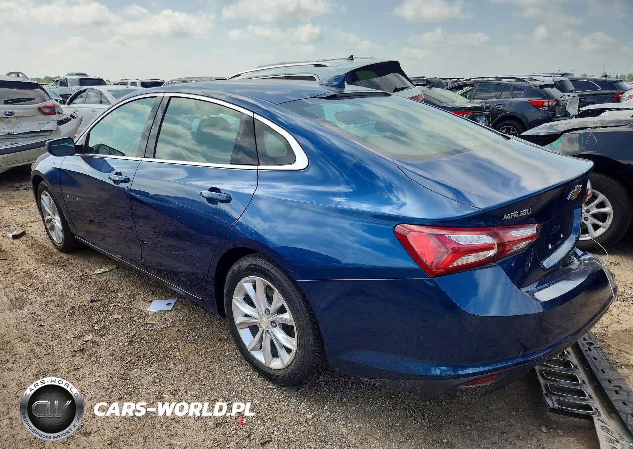 2019 Chevrolet Malibu Lt VIN:1G1ZD5ST0KF162378 - 2