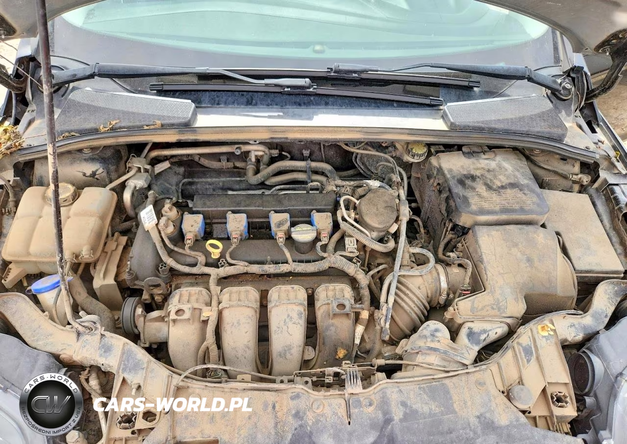 2014 Ford Focus Se VIN:1FADP3F28EL300940 - 11