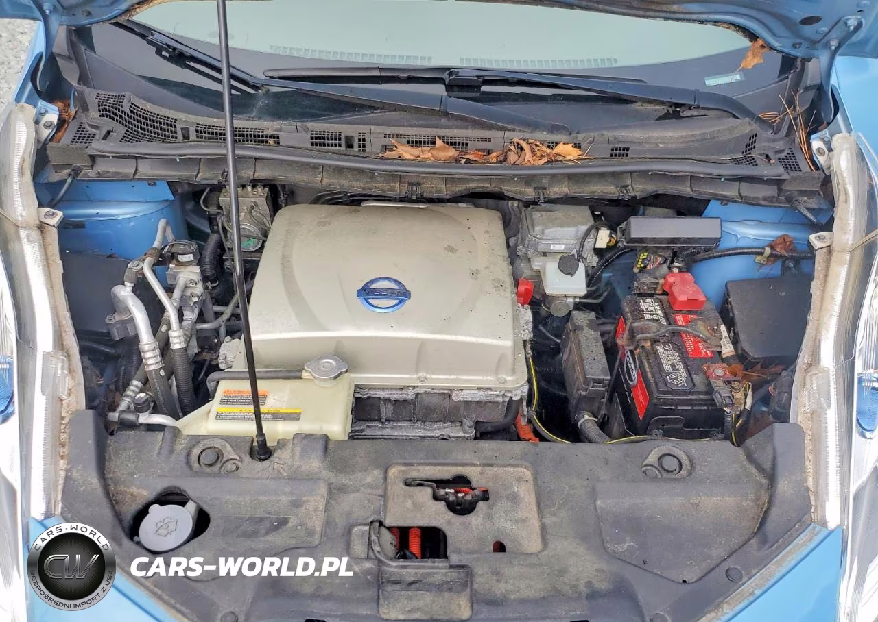 2015 Nissan Leaf Sv VIN:1N4AZ0CP9FC323043 - 12