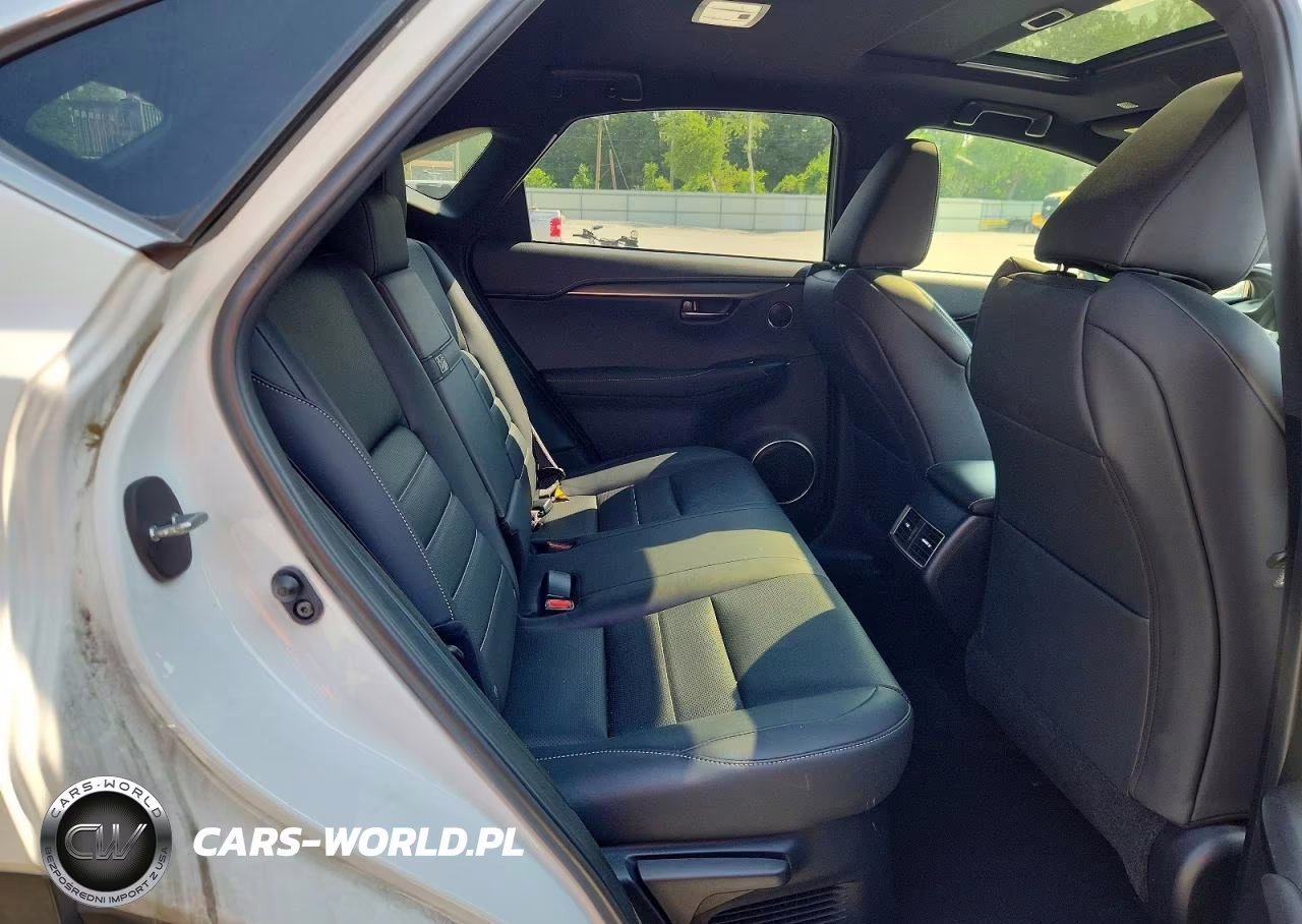 2020 Lexus Nx 300 F Sport VIN:JTJSARDZ7L5015361 - 11