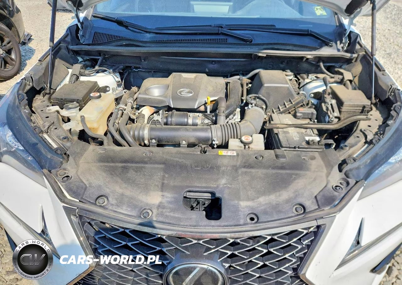 2020 Lexus Nx 300 F Sport VIN:JTJSARDZ7L5015361 - 12