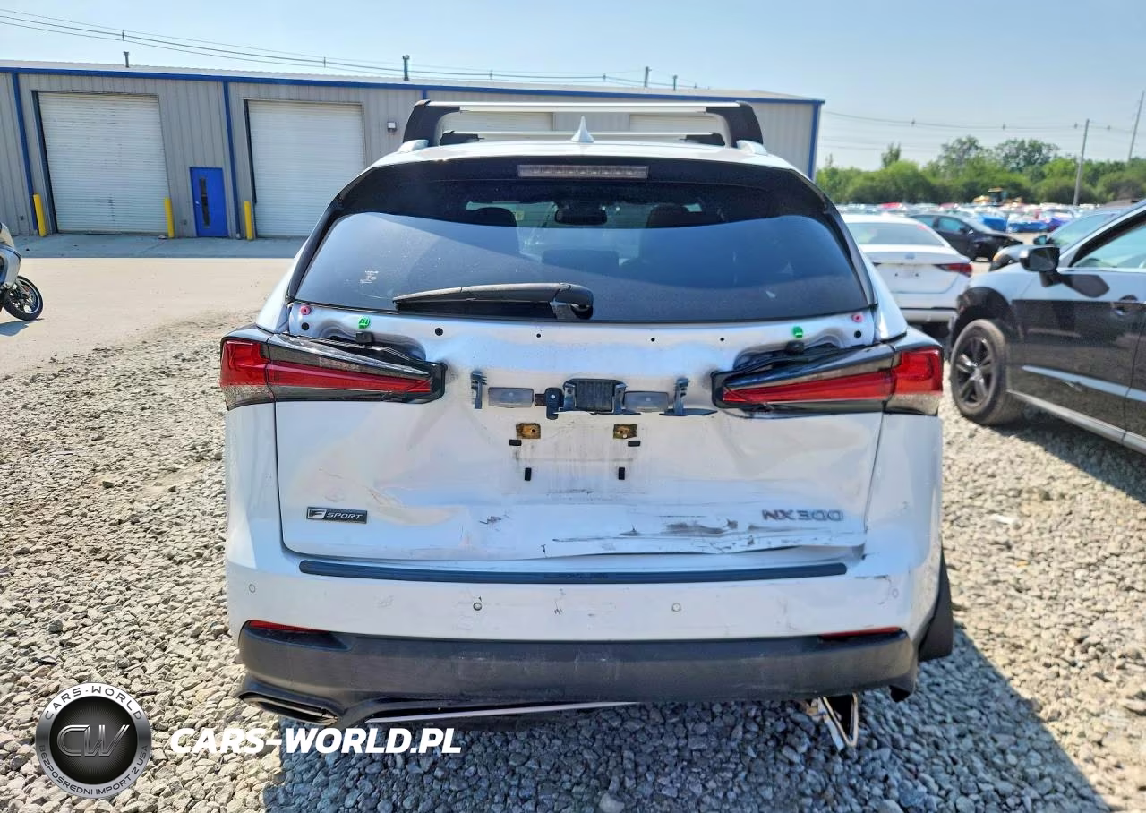 2020 Lexus Nx 300 F Sport VIN:JTJSARDZ7L5015361 - 6