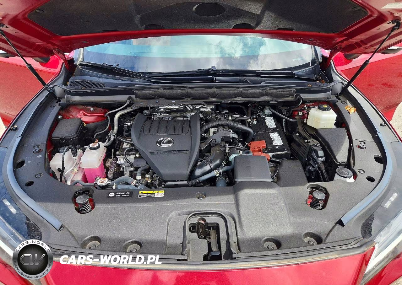 2024 Lexus Rx 350 Base VIN:2T2BAMBA7RC032395 - 12