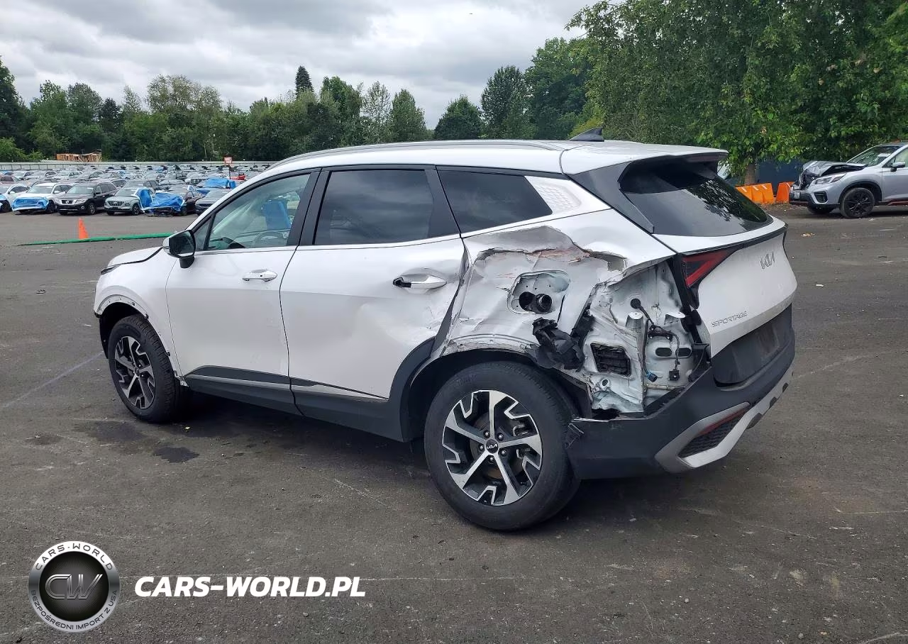 2023 Kia Sportage Ex VIN:5XYK3CAF2PG116115 - 2