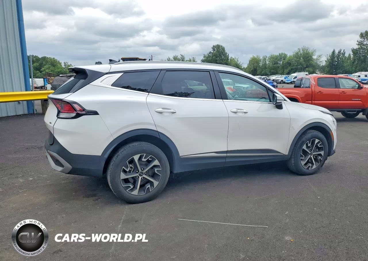 2023 Kia Sportage Ex VIN:5XYK3CAF2PG116115 - 3