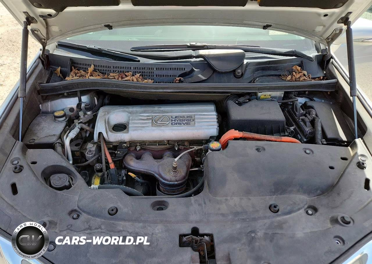 2010 Lexus Hs 250H VIN:JTHBB1BA8A2005689 - 11