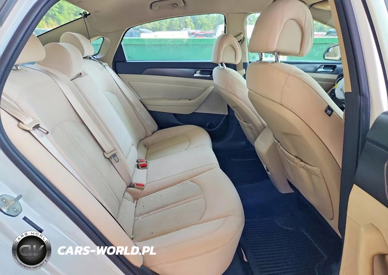 2015 Hyundai Sonata Sport VIN:5NPE34AF8FH115738 - 10
