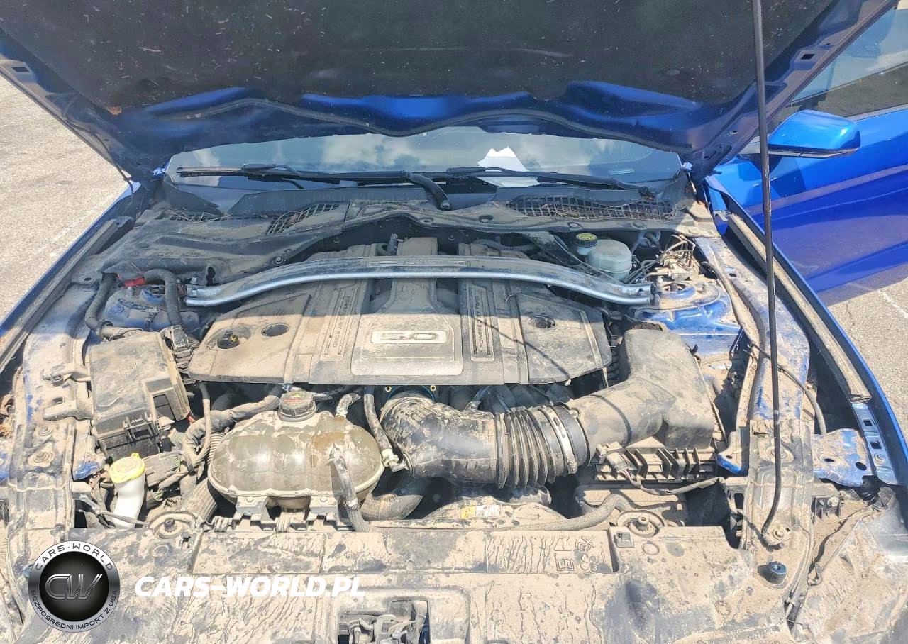 2018 Ford Mustang Gt VIN:1FATP8FFXJ5112060 - 11