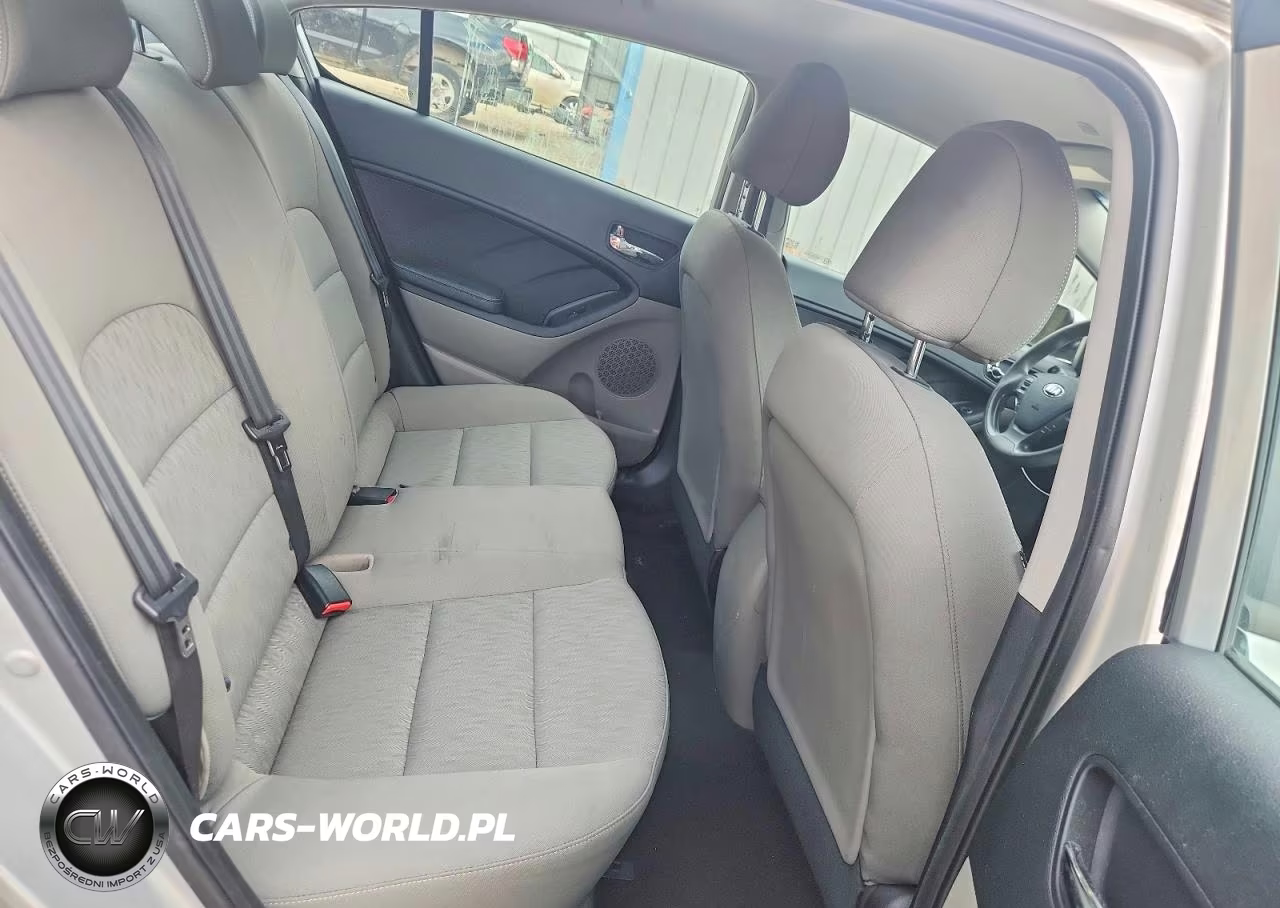 2015 Kia Forte Lx VIN:KNAFK4A63F5431908 - 10