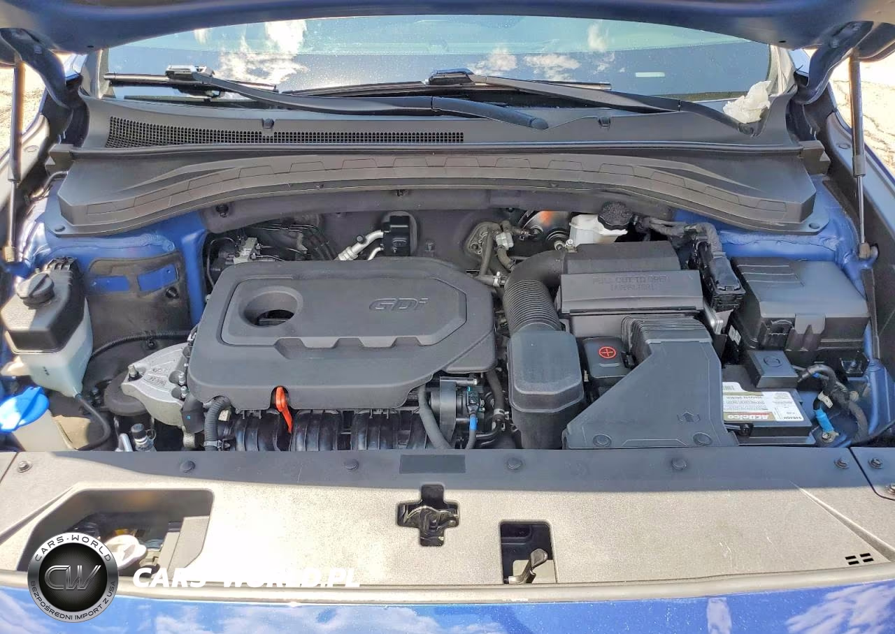 2019 Hyundai Santa Fe Sel 2.4L VIN:5NMS3CAD8KH023239 - 12