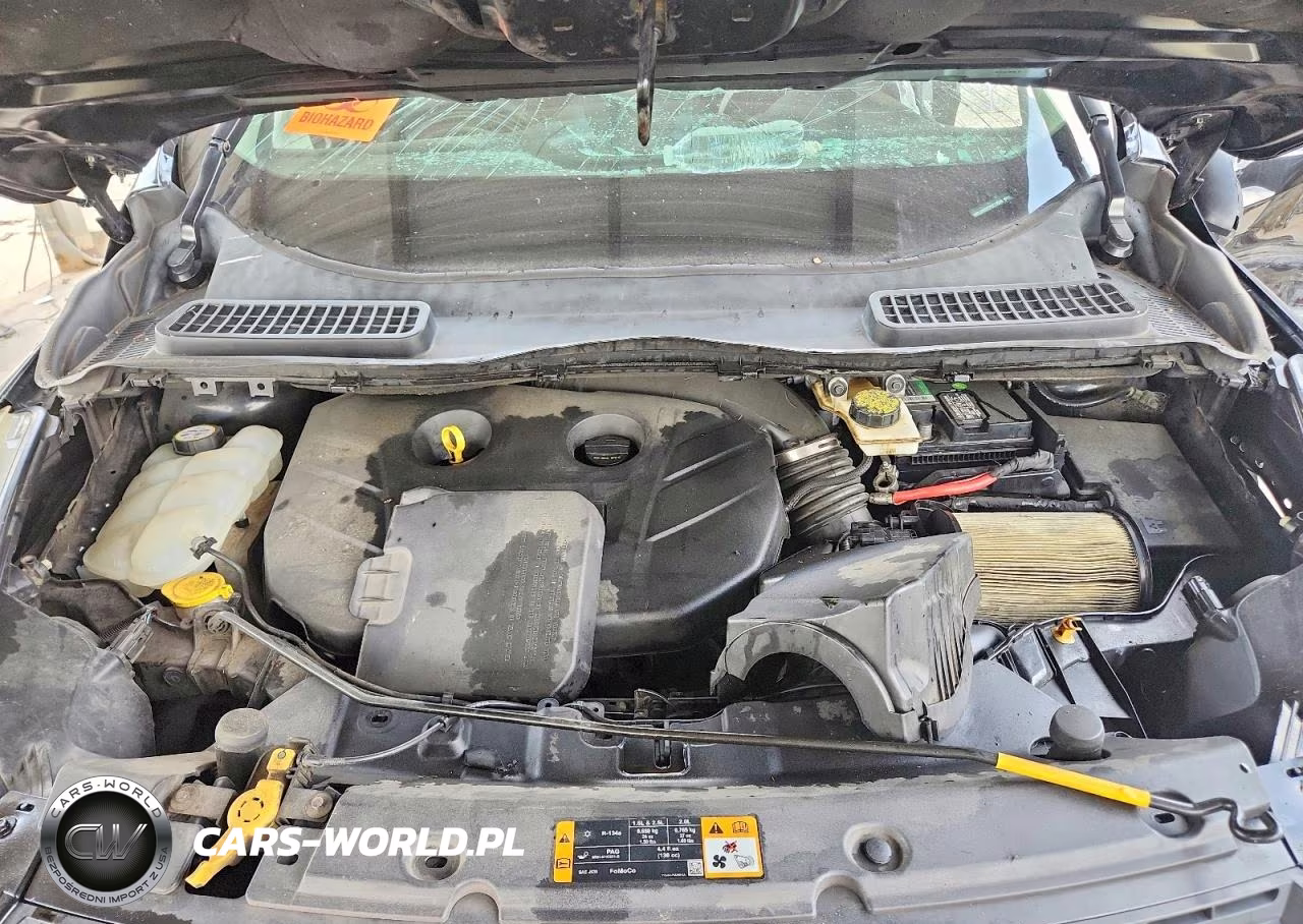 2013 Ford Escape Se VIN:1FMCU0G92DUC12849 - 12