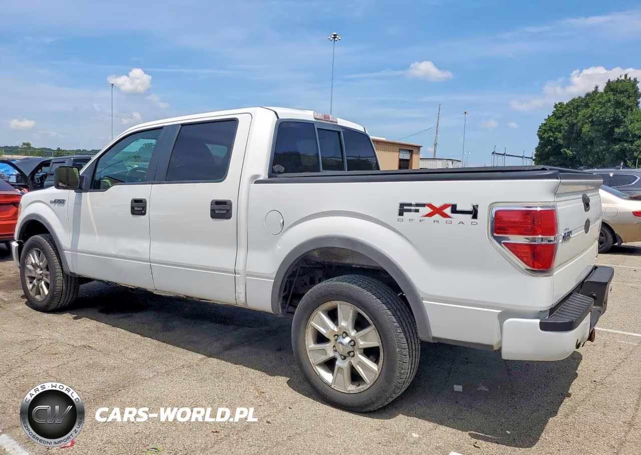 2010 Ford F150 Supercrew VIN:1FTFW1EV9AFA51790 - 2