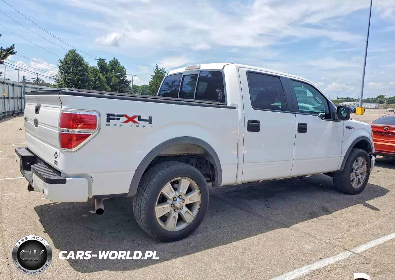 2010 Ford F150 Supercrew VIN:1FTFW1EV9AFA51790 - 3