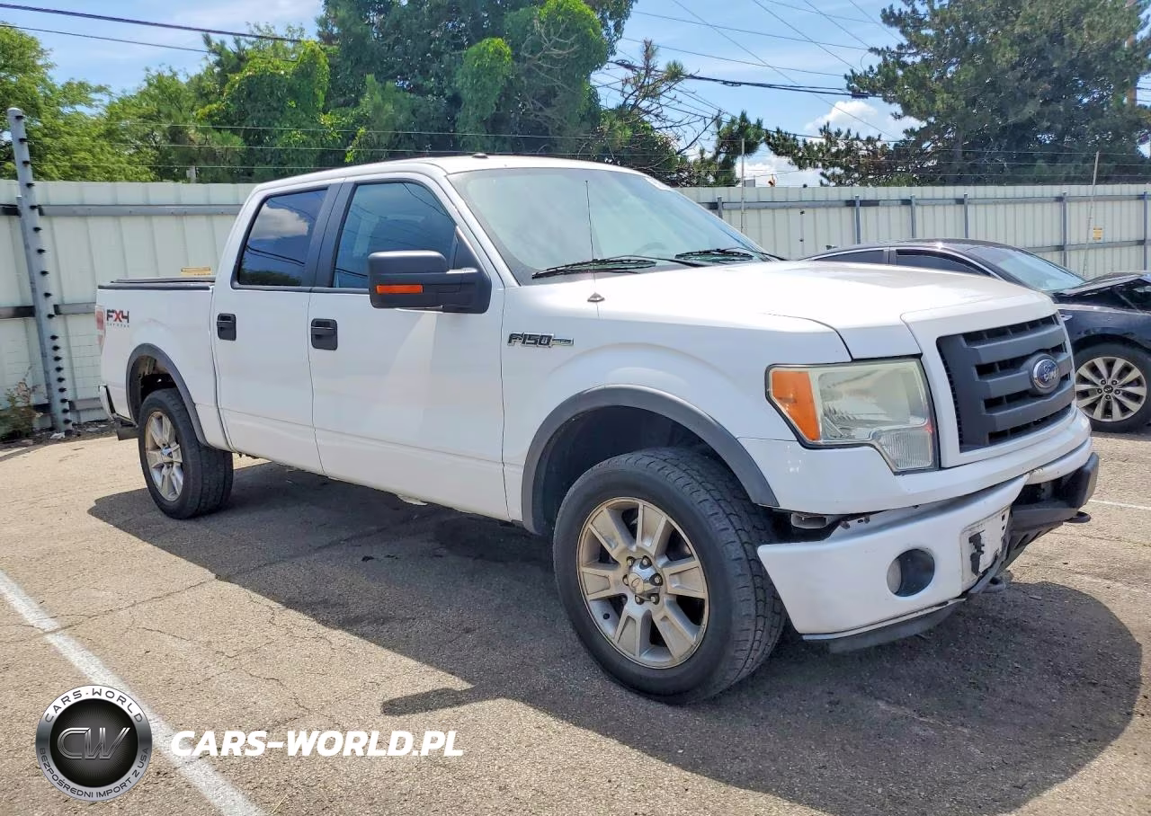 2010 Ford F150 Supercrew VIN:1FTFW1EV9AFA51790 - 4