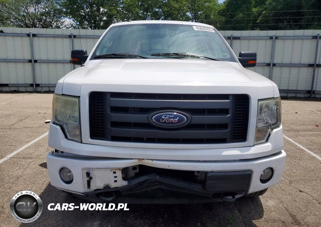 2010 Ford F150 Supercrew VIN:1FTFW1EV9AFA51790 - 5