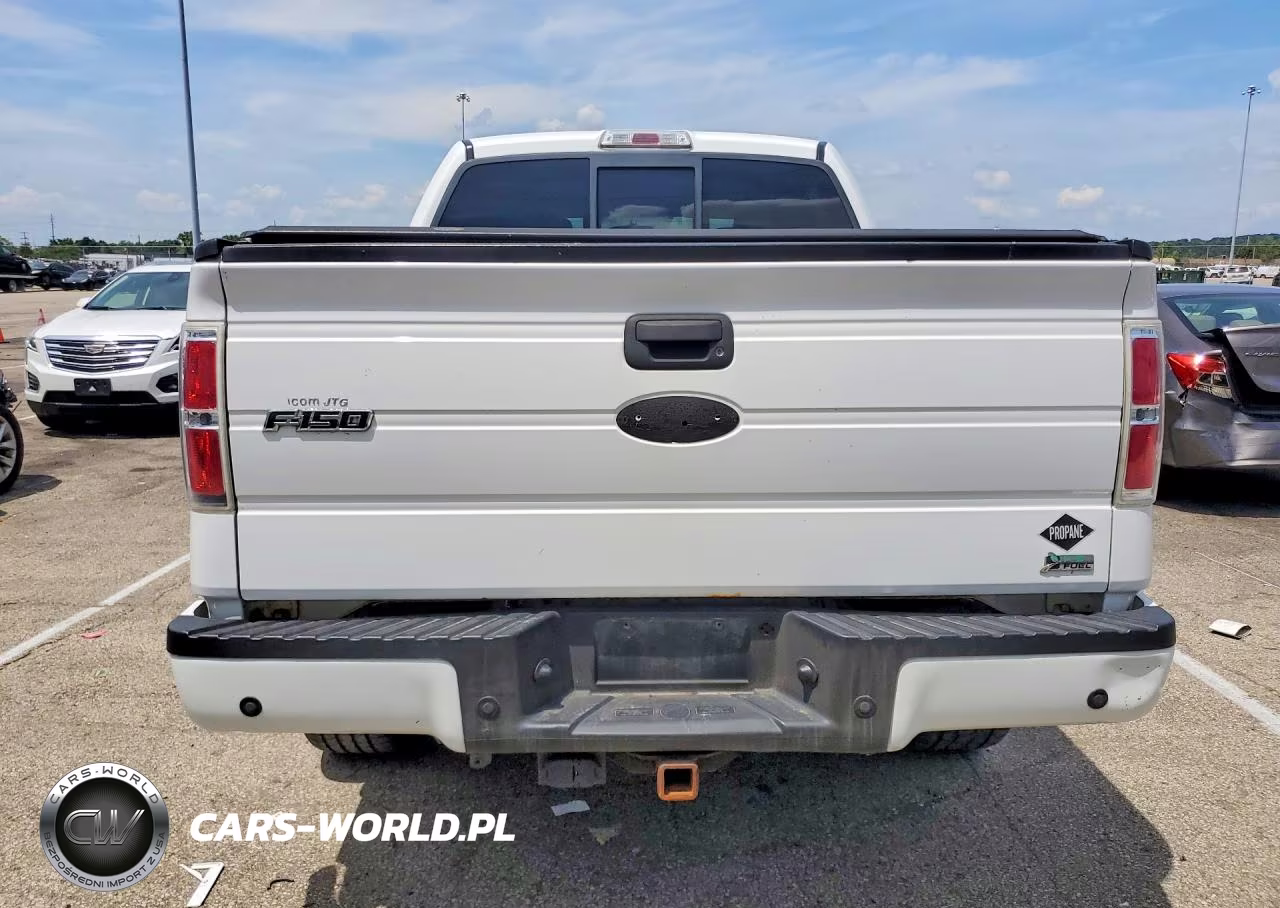 2010 Ford F150 Supercrew VIN:1FTFW1EV9AFA51790 - 6
