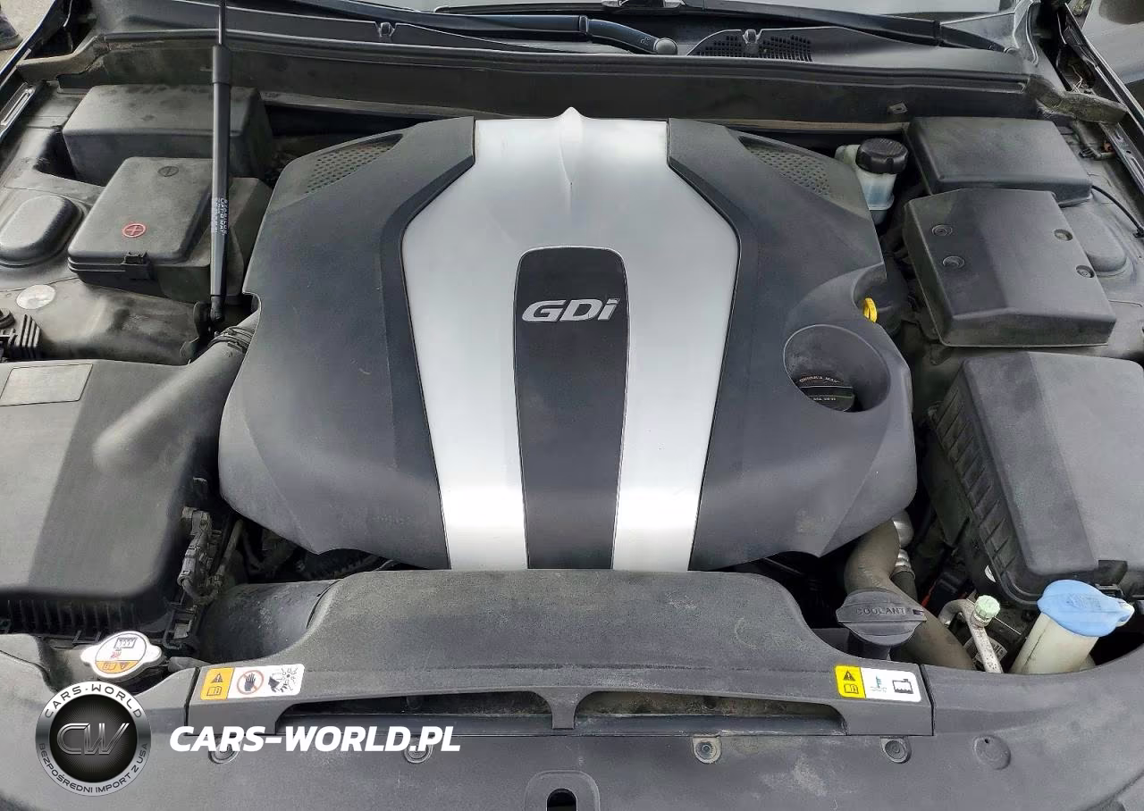 2013 Hyundai Genesis 3.8L VIN:KMHGC4DD1DU246169 - 11