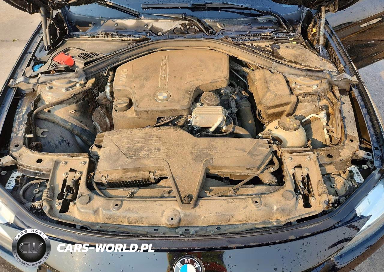 2017 BMW 320 Xi VIN:WBA8E5G33HNU43224 - 11