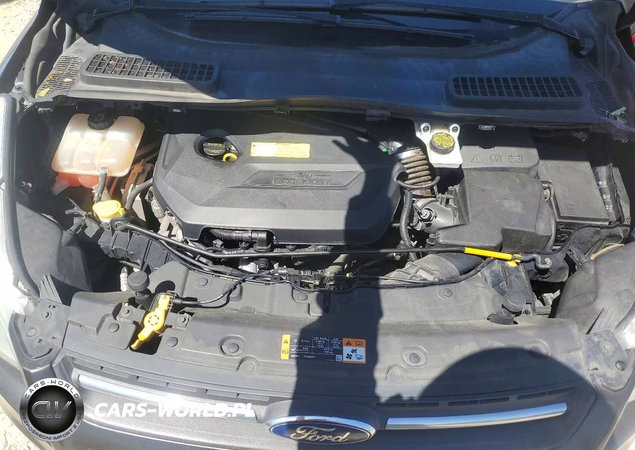2016 Ford Escape Se VIN:1FMCU0GX1GUB67017 - 12