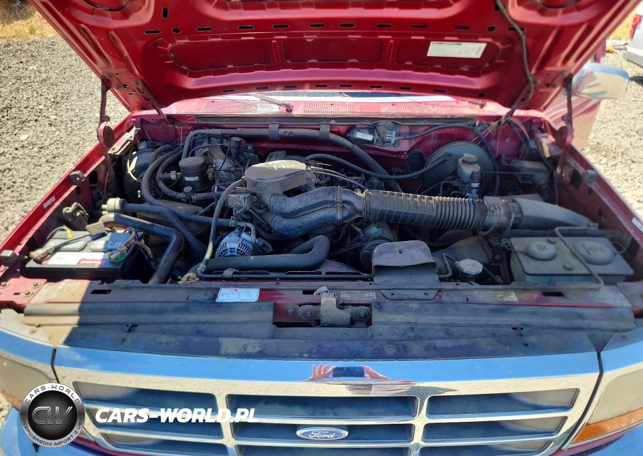 1995 Ford F150 VIN:1FTEX14H9SKA38499 - 11