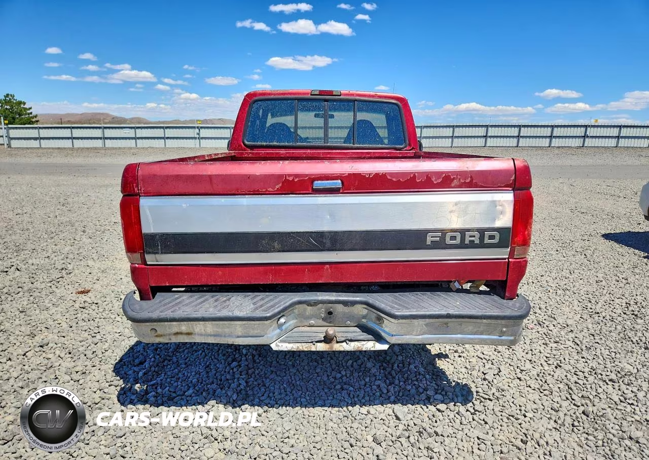 1995 Ford F150 VIN:1FTEX14H9SKA38499 - 6