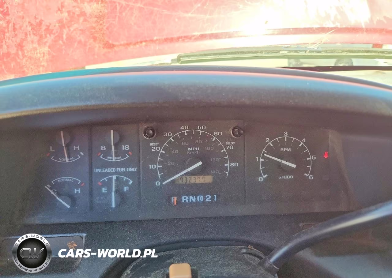 1995 Ford F150 VIN:1FTEX14H9SKA38499 - 9
