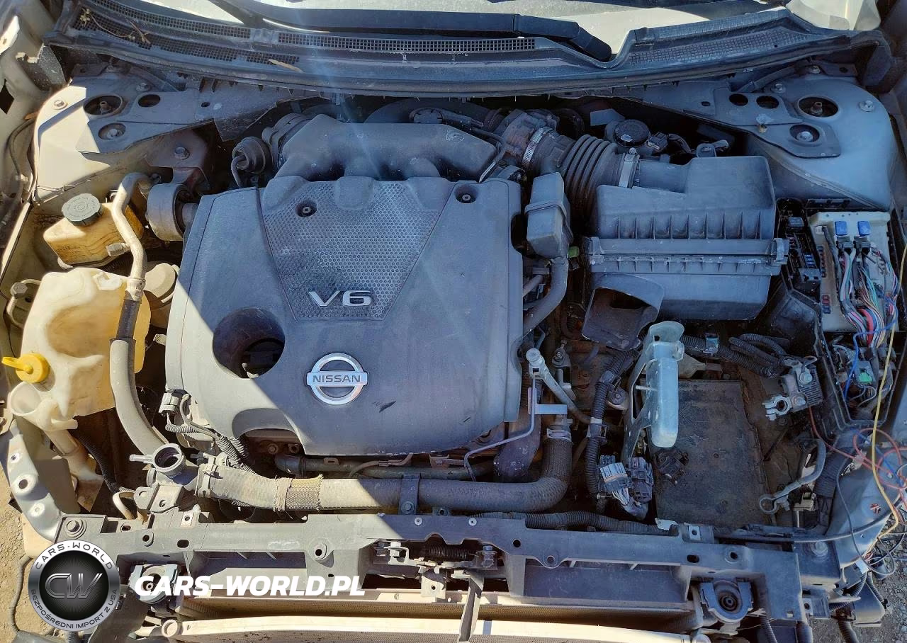 2009 Nissan Maxima 3.5 S VIN:1N4AA51E29C852621 - 12