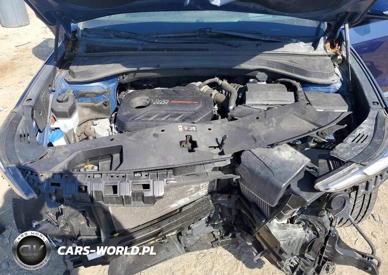 2020 Hyundai Santa Fe Limited 2.0T VIN:5NMS5CAA6LH226552 - 12