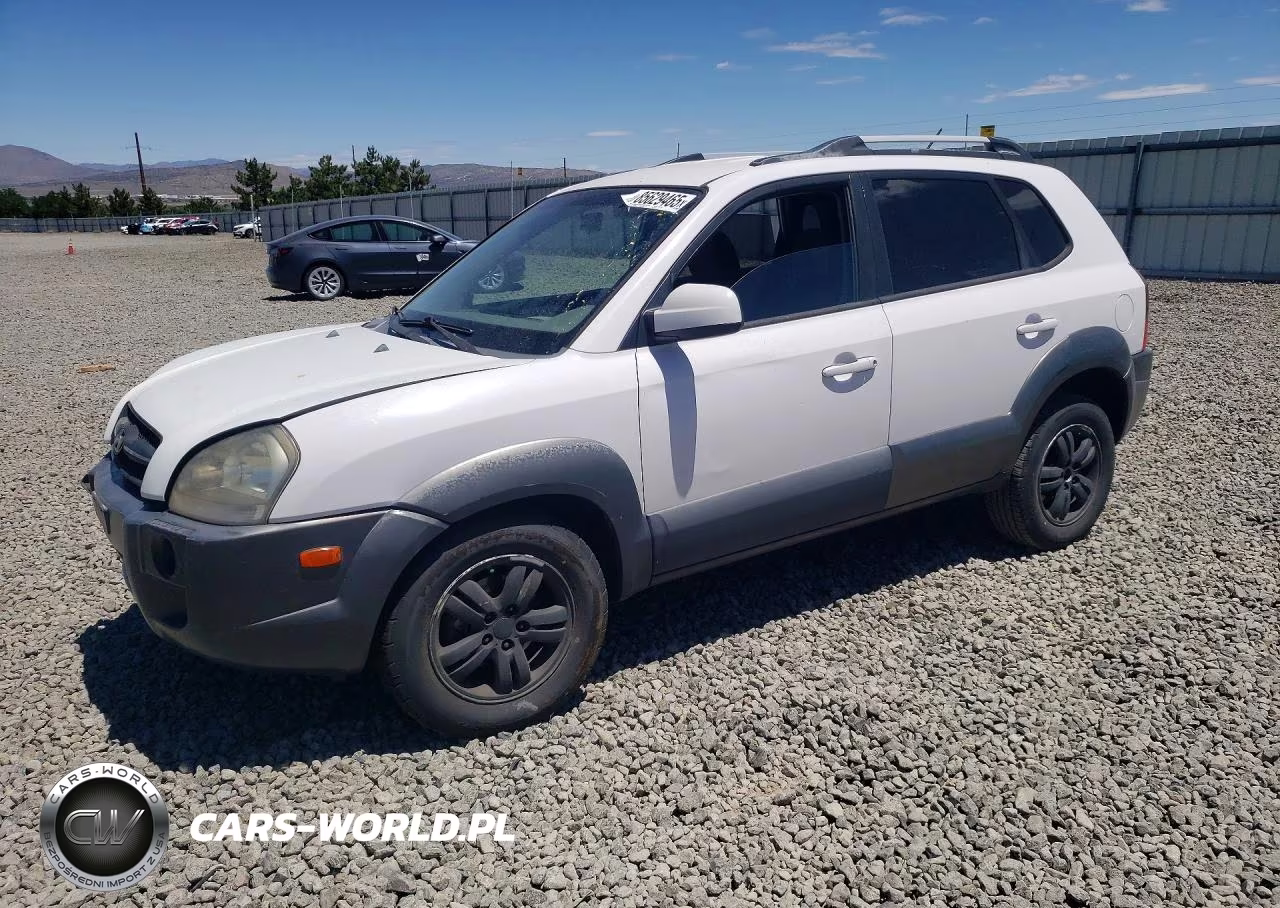 2008 Hyundai Tucson Se