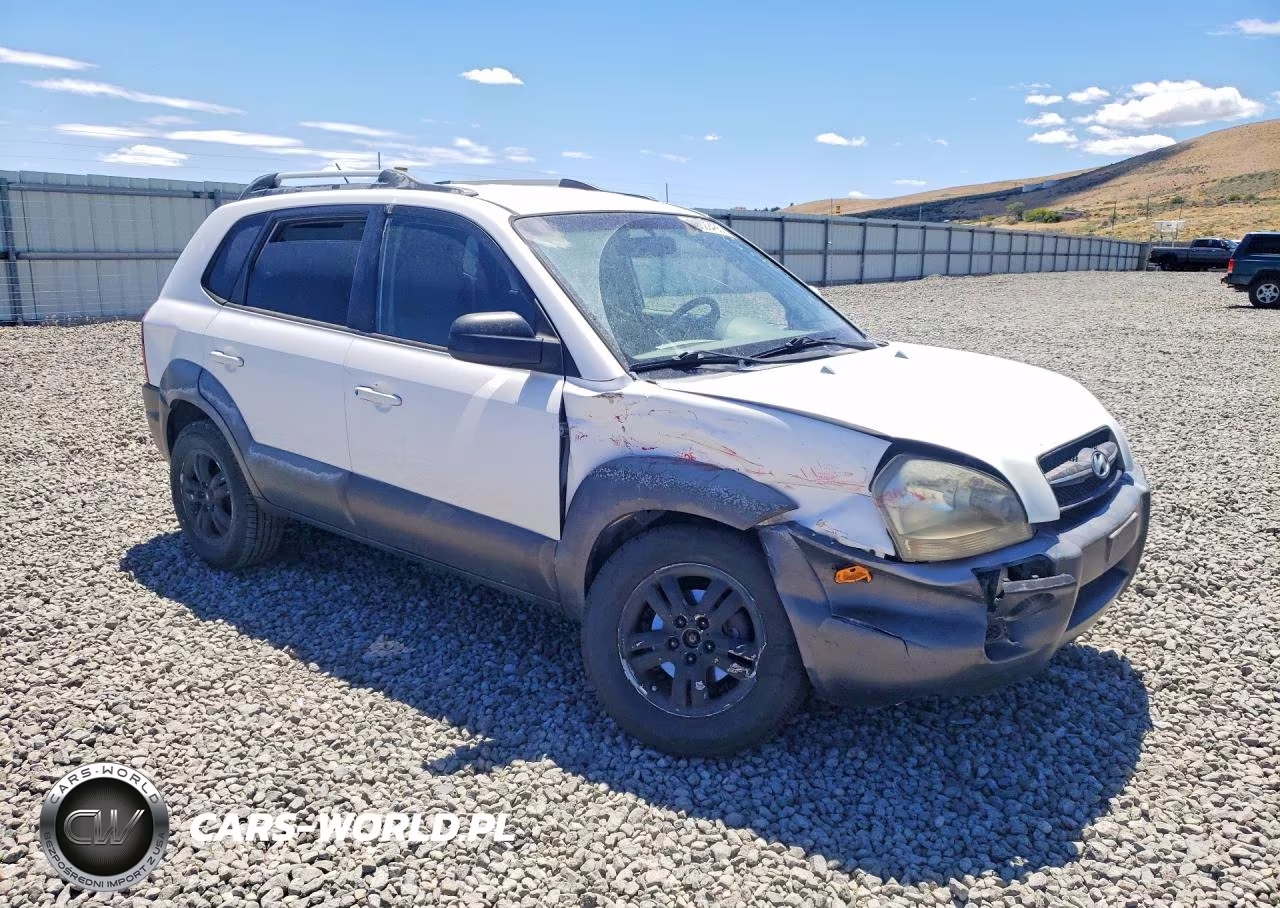 2008 Hyundai Tucson Se VIN:KM8JN72D18U799222 - 4
